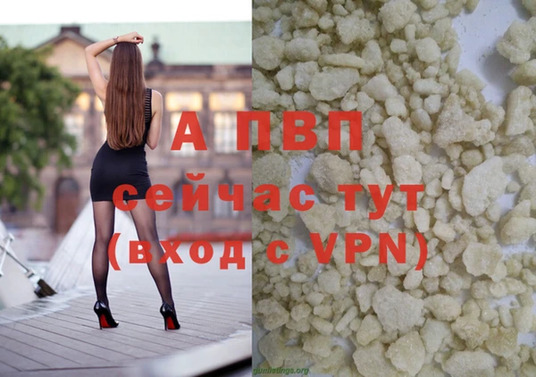 СК Волосово