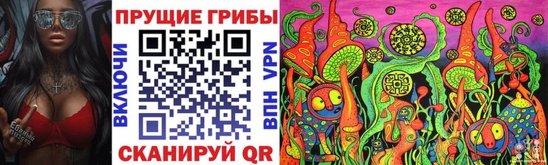 Галлюциногенные грибы Cubensis  Дрезна 