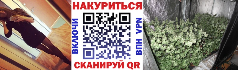 ОМГ ОМГ tor  Дрезна  Бошки марихуана VHQ  купить  сайты 